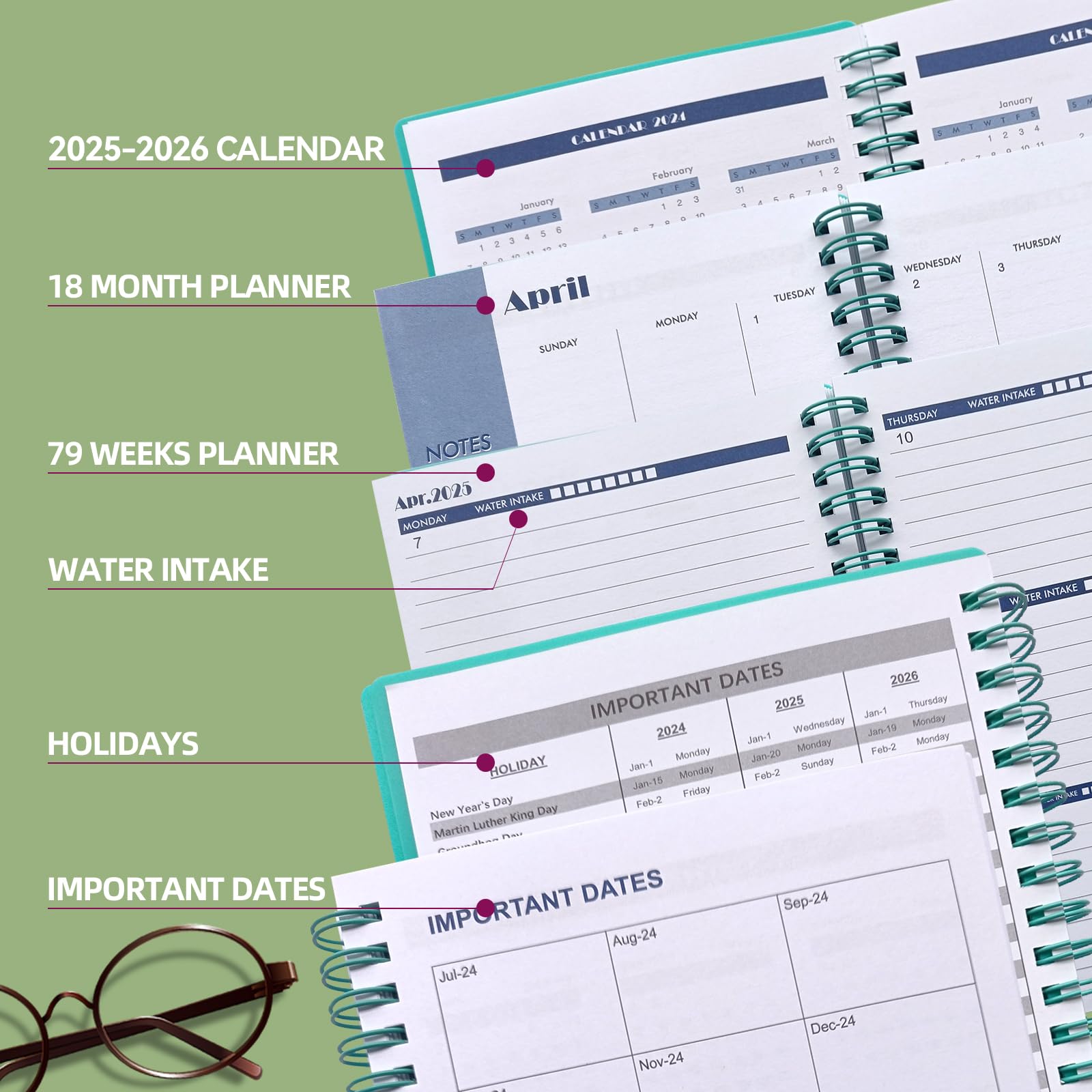 Planner 20252026 January 2025 June 2026, Weekly And