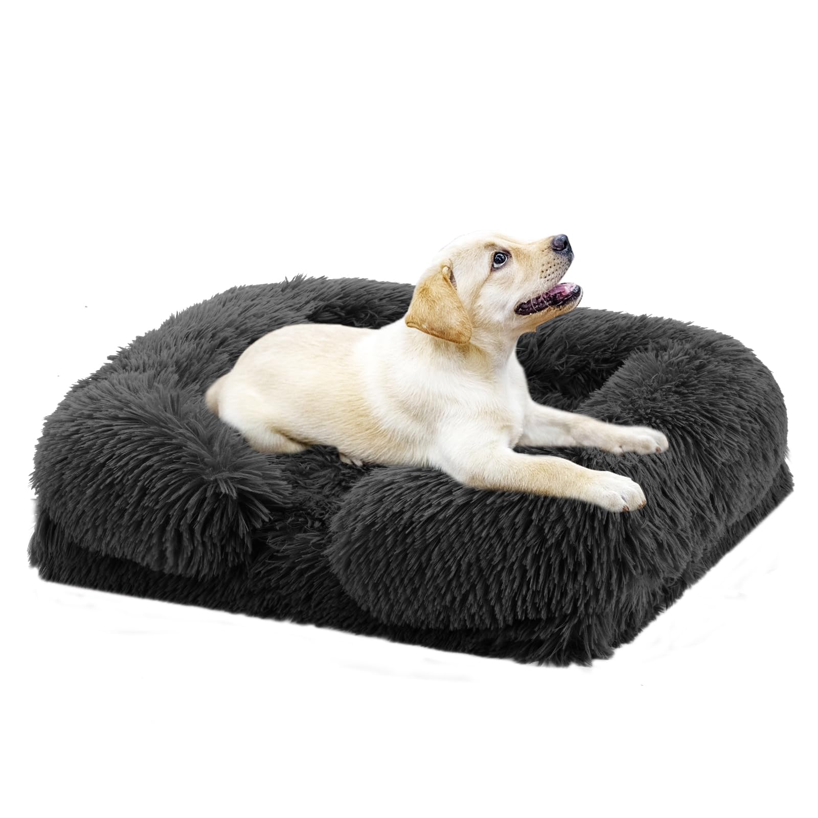 Large Dog Bed, Orthopedic Pet Bed Dog Bed for Medium Large Dogs, Anti-Slip Bottom and Egg-Crate Foam with Washable Removable Cover