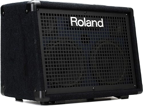 Roland KC-220 Amplificador de teclado estéreo alimentado por batería, 30 vatios (15 W + 15 W) (KC-220)