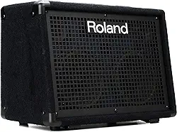 Roland Amplificador de teclado estéreo alimentado por bateria KC-220, 30 watts (15 W + 15 W)