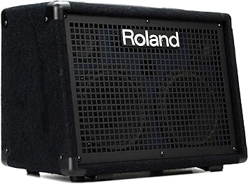 Roland KC-220 Battery Powered Stereo Keyboard Amplifier