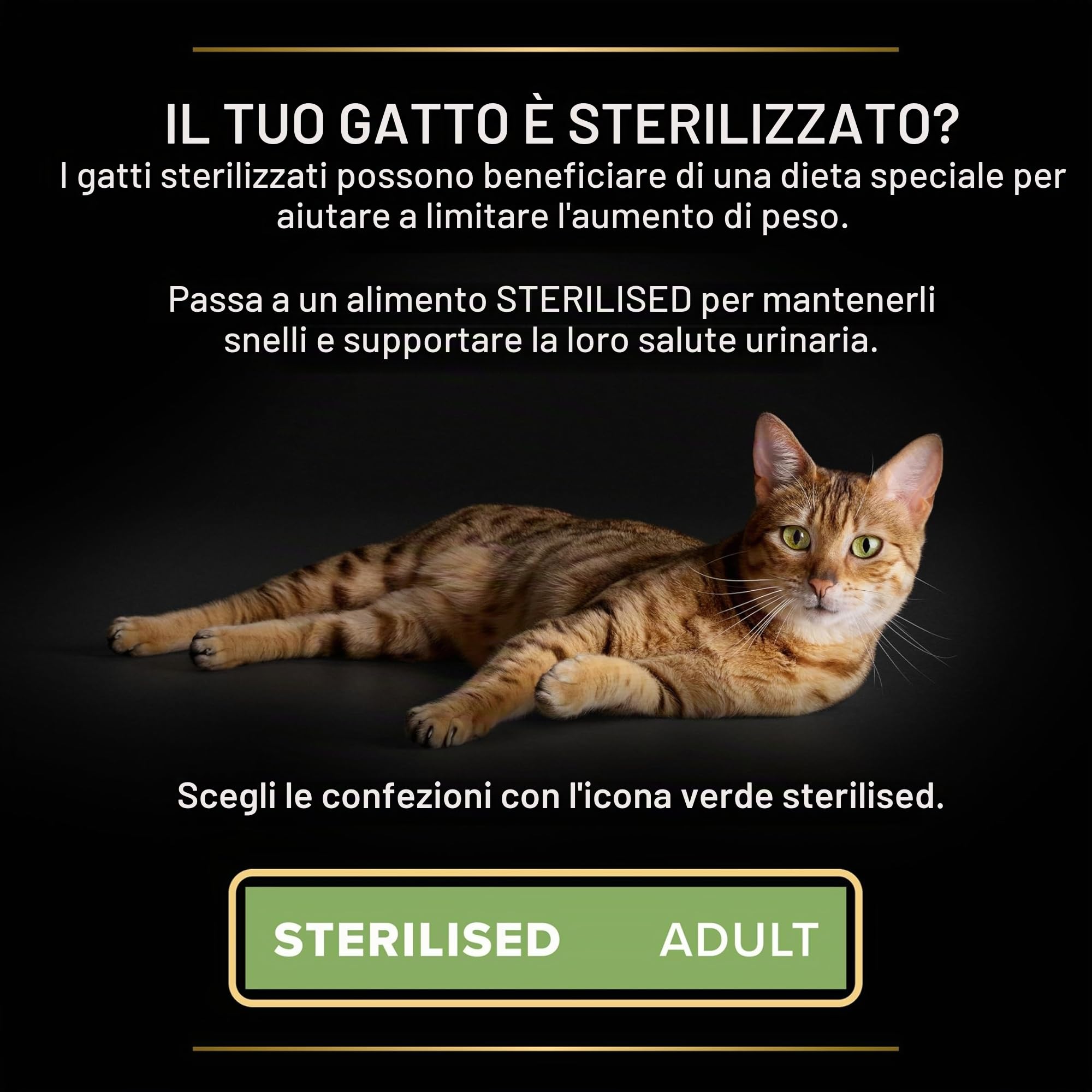 Purina Pro Plan Sterilised Delicate Digestion Crocchette Gatti Adulti Ricco in Pollo 3kg