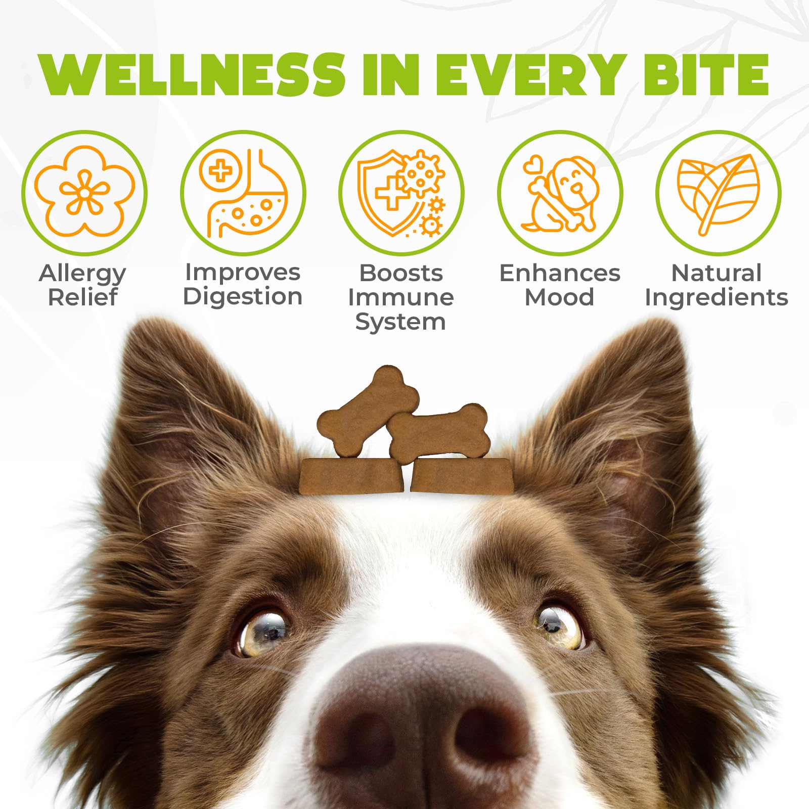 OKKÖBI Dog Allergy Chews 150Pcs, Dog Allergy Relief, Supplements for Itchy Skin and Paw Licking, US Formula with Probiotics - Image 2