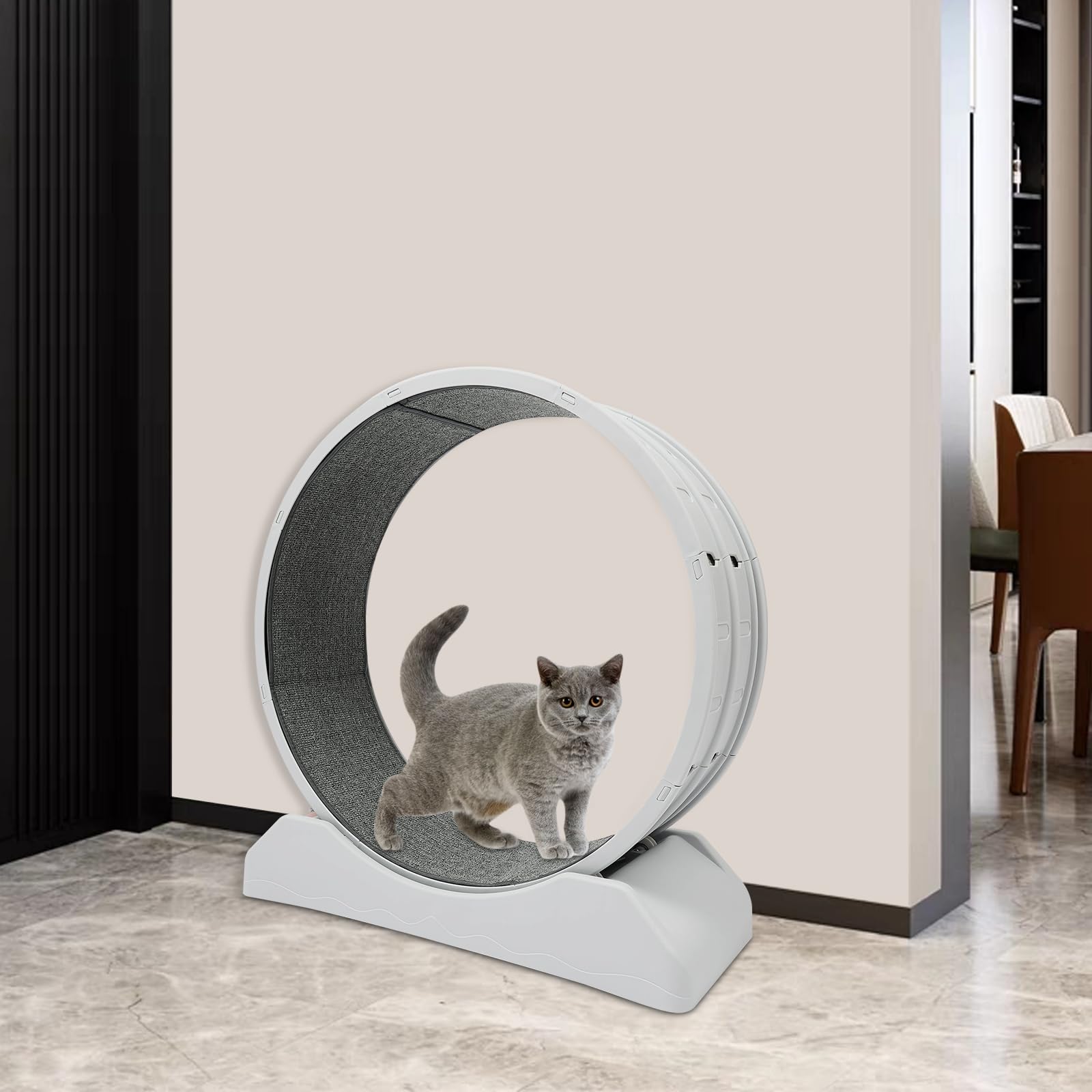 Rueda para gatos, 80 cm, rueda para gatos y perros pequeños, para hogares, tiendas de mascotas, dentro de 10 kg, 80 x 35 x 85 cm, gris