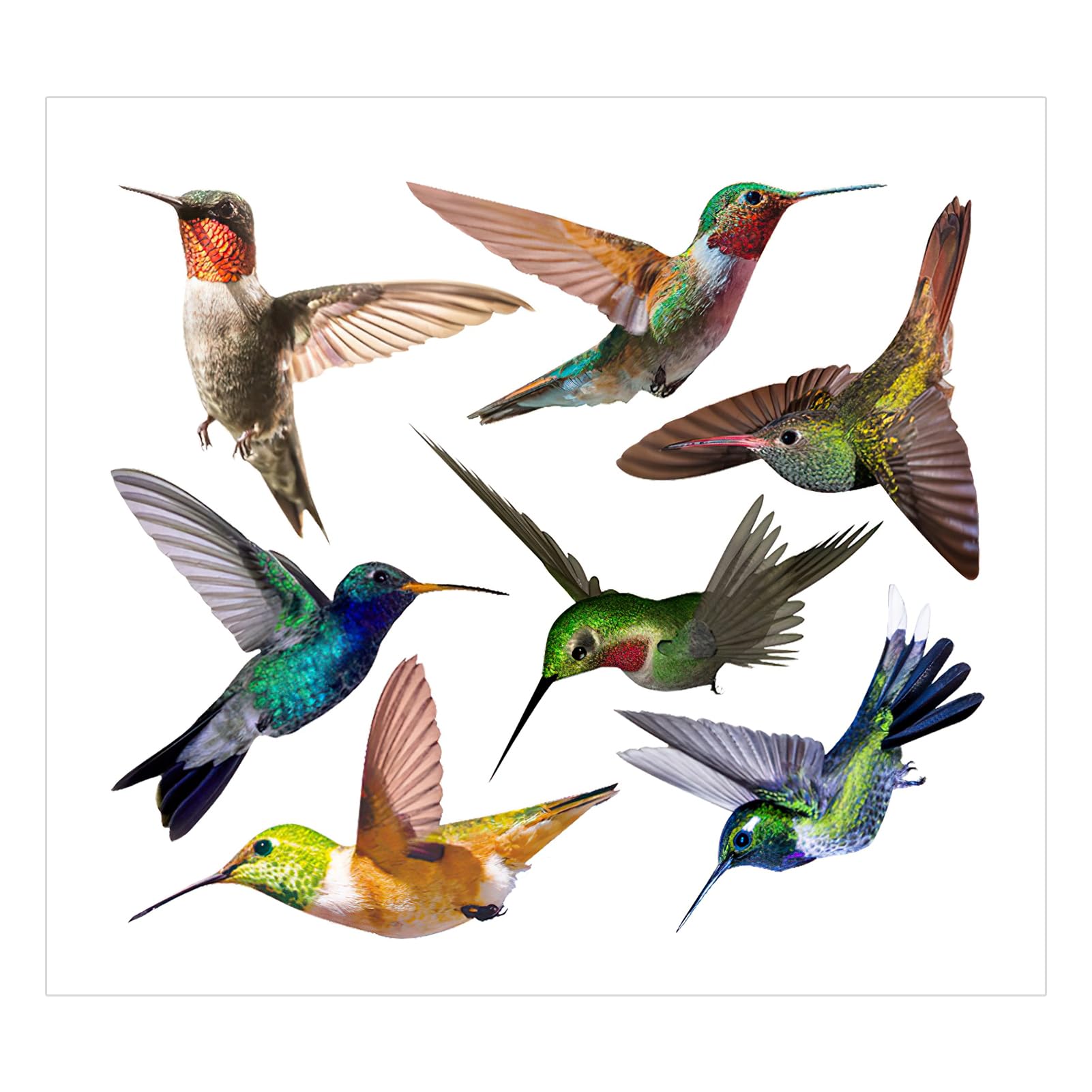 NeutypeChic Bird Stickers for Window Panes, Pack of 7 Window Stickers to Protect Against Bird Strike, Birds Window Stickers for Bird Impact Protection