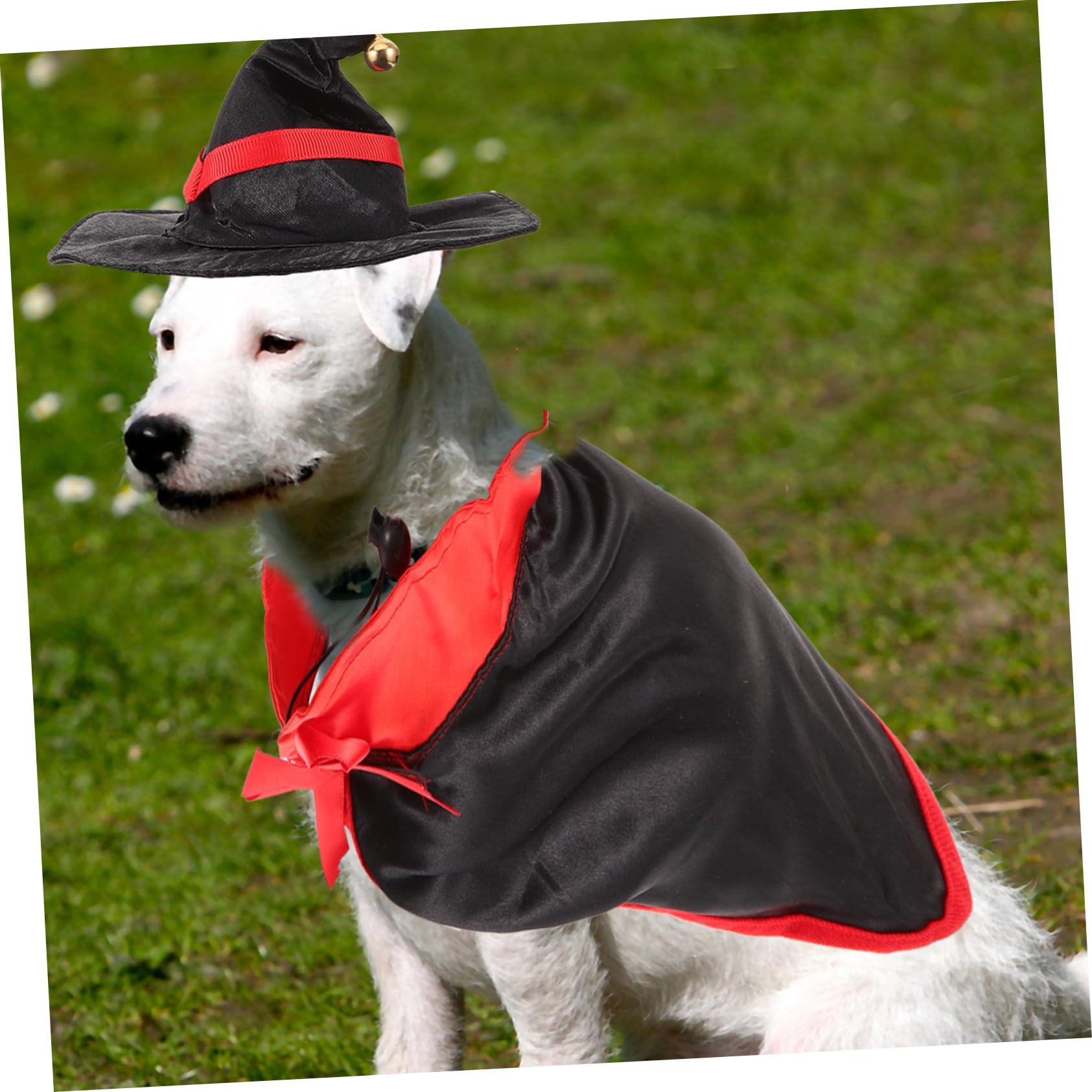 WOONEKY 3 Set Di Costumi Per Cani Fascia Per E Gatto Accessori Per La Fotografia Abbigliamento Creativo Per Animali Domestici Per Halloween