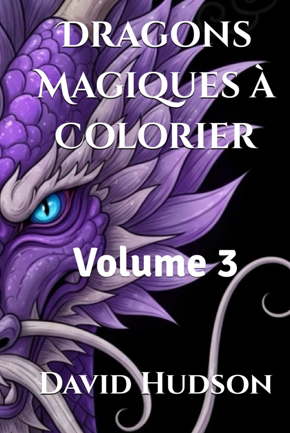 Dragons Magiques à Colorier: Volume 3 (Dragons Magiques à Colorier : 3 Volumes avec Têtes de Dragons Détaillées pour Adultes et Enfants – Livre de Coloriage Relaxant) (French Edition)