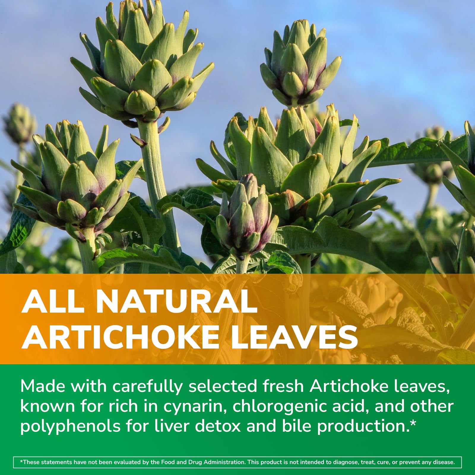 Vitalibre Artichoke Extract, 600 mg of Artichoke Leaf Extract, Non-GMO, No Gluten, for Digestive Health & Liver Function, 90 Capsules — Amazon image 5