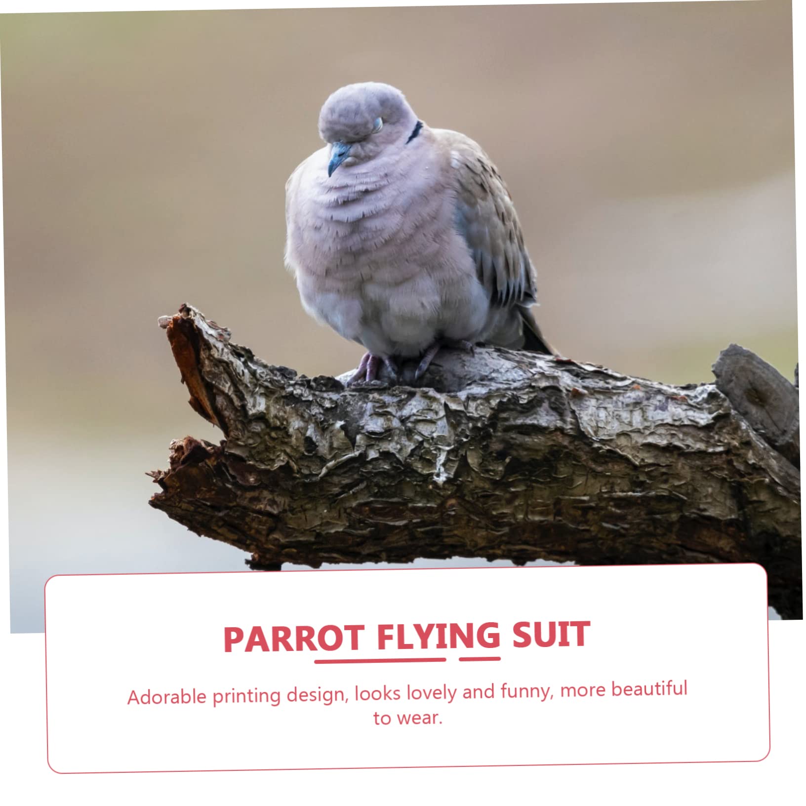 8pezzi Pannolini Per Uccelli Abbigliamento Per Pappagalli Riutilizzabile e Traspirante Di Costumi Per Piccole Creature Adatto Per Esterni Facile Da Pulire e Comodo