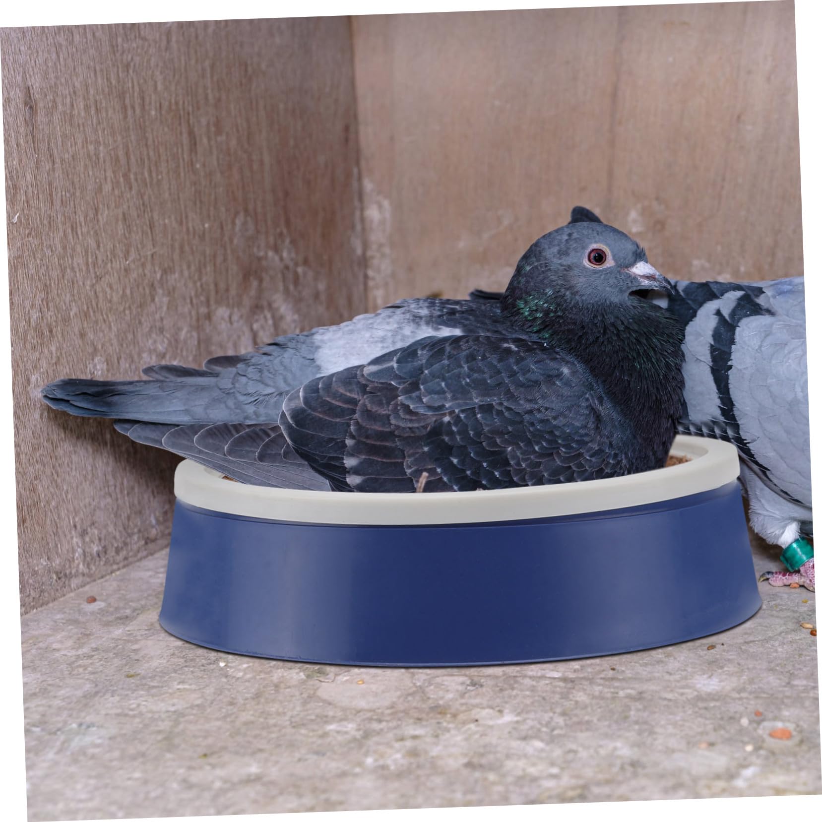 VICASKY 6 Ensembles Lot de Nichoirs Plastique pour Pigeons avec Coussin Respirant Nid et Réutilisable pour Élevage Extérieur Accessoires pour Oiseaux et Pigeons
