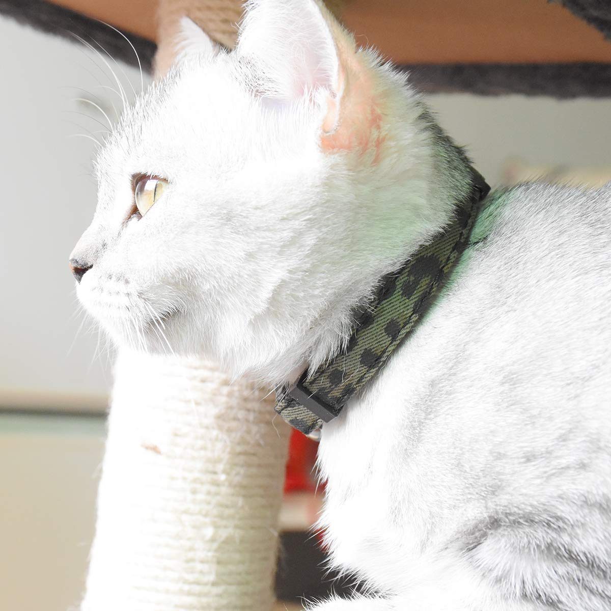 Breakaway Katzenhalsbänder mit Glöckchen, 3 Stück, langlebig und sicher, niedliches Kätzchenhalsband, Sicherheit, verstellbar, Kätzchenhalsband für Katzen, Welpen, 19,1–27,9 cm (Leopardenmuster)