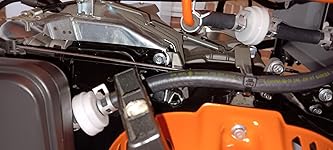 Review Image by Howard