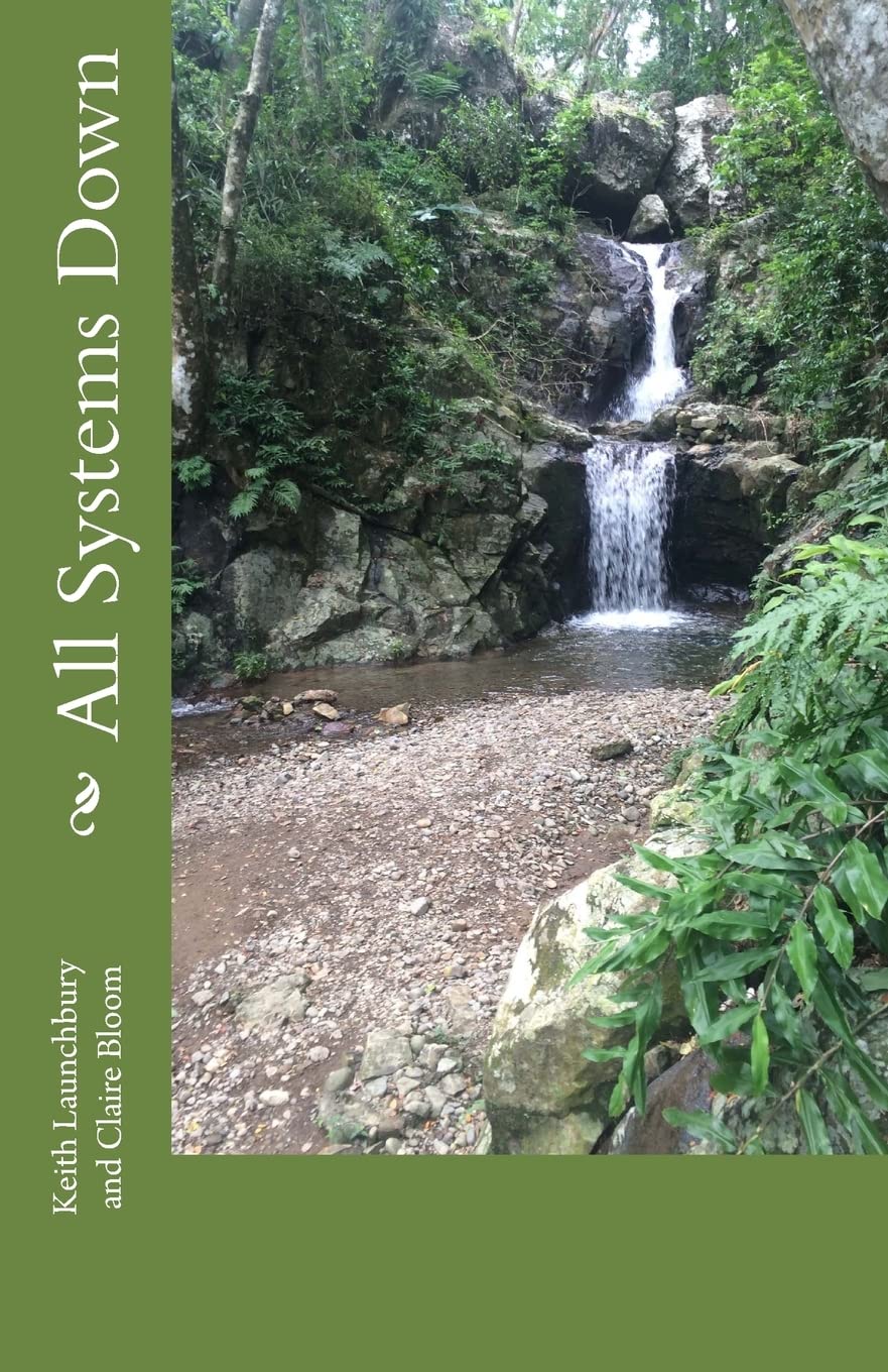 Claire V BloomAll Systems Down