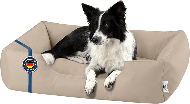 BedDog legowisko dla psa ZARA, sofa dla psa z Cordury, mikrofibra welurowa, zmywalne legowisko dla psa z brzegiem,do wewnatrz, na zewnatrz, L, NAMIB-SAND (bezowy)