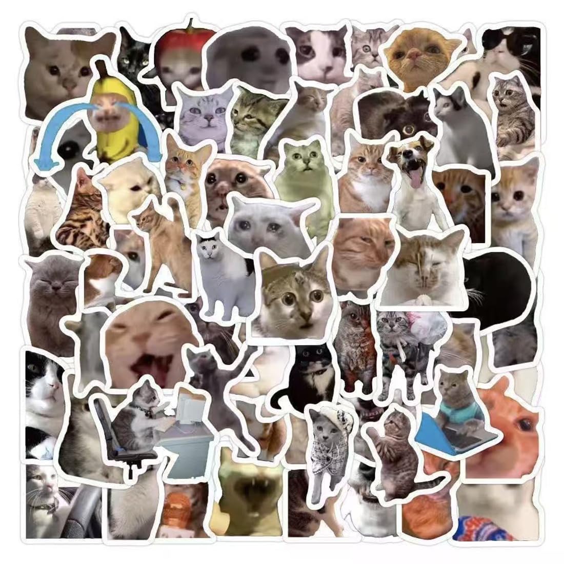 100 adesivi di meme di gatti, impermeabili e resistenti al sole, stampa ad alta definizione, stickers, stiker