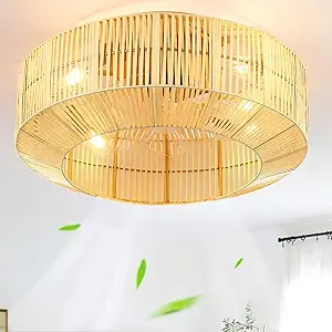 DWVO 18 Inch Boho Caged Ceiling Fan with Lights, Flush Mount Ceiling Fans with Remote, 6 Speeds, Reversible Blades, Enclosed Fan Lights for Living Room, Bedroom, Dining Room, Kitchen