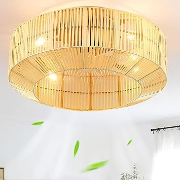 DWVO 18 Inch Boho Caged Ceiling Fan with Lights, Flush Mount Ceiling Fans with Remote, 6 Speeds, Reversible Blades, Enclosed Fan Lights for Living Room, Bedroom, Dining Room, Kitchen