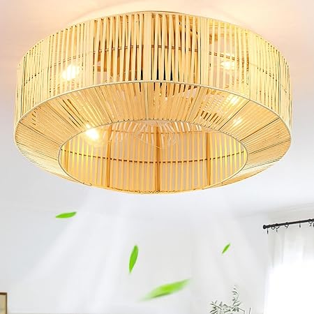 DWVO 18 Inch Boho Caged Ceiling Fan with Lights, Flush Mount Ceiling Fans with Remote, 6 Speeds, Reversible Blades, Enclosed Fan Lights for Living Room, Bedroom, Dining Room, Kitchen