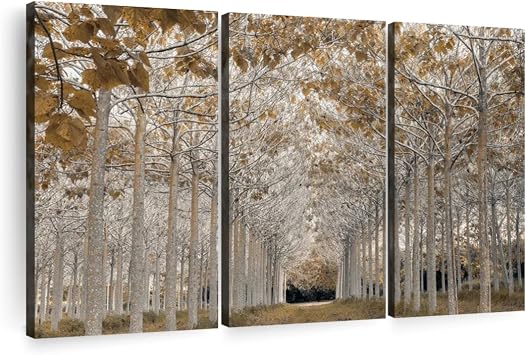 ElephantStock White Gold 3-Piece Canvas Wall Art 74"x48"