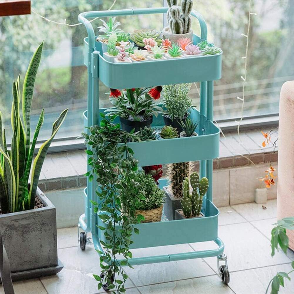 恩田武範の天掌4枚組DVDセット、理論編と実技編を含む特典ディスク付き 恩田武範の天掌4枚組DVDセット、理論編と実技編を含む特典ディスク付き