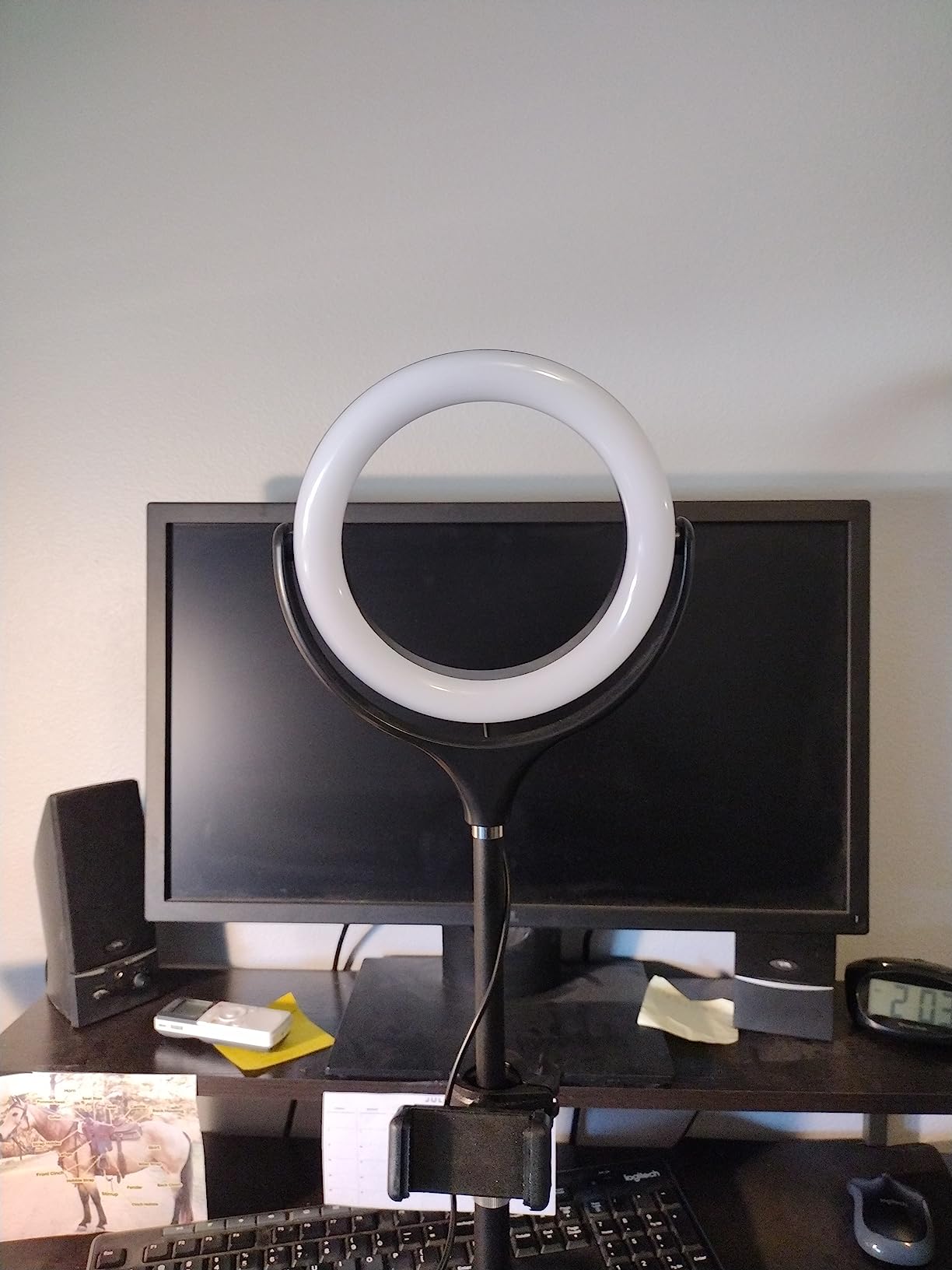 Best Lighting For Zoom Calls + Tips To Set