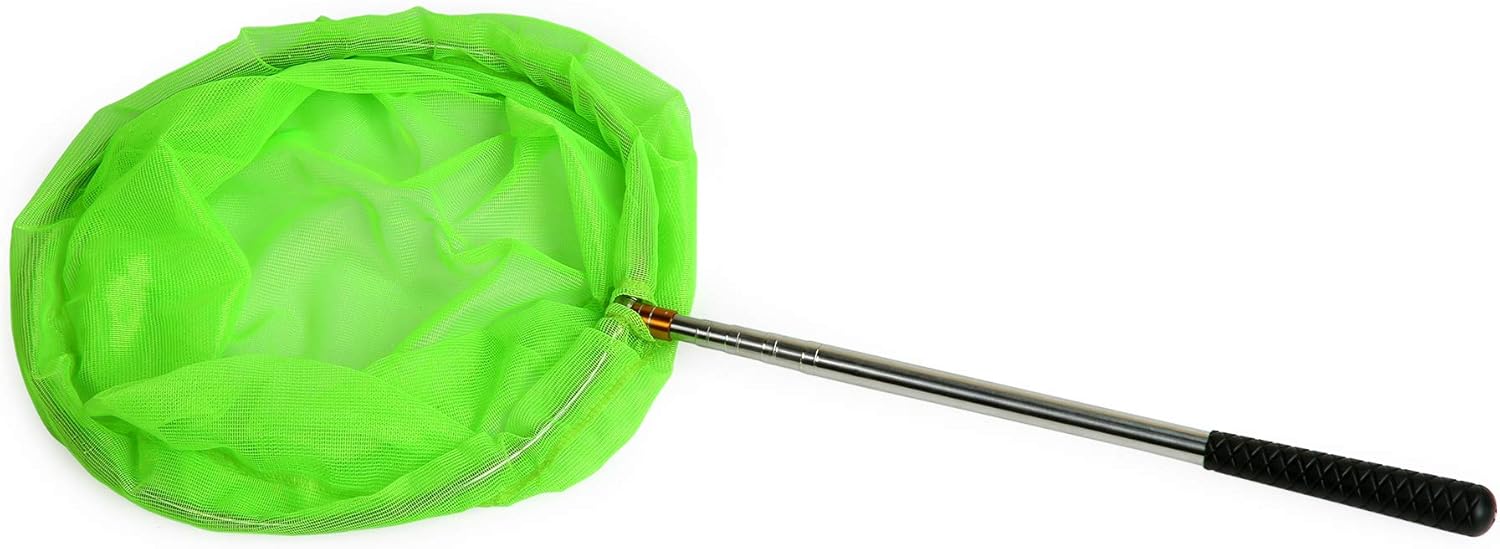 RESTCLOUD Bait Net and Fishing Landing Net with Telescoping Pole Handle Extends to 59 inches (Green) : Sports & Outdoors