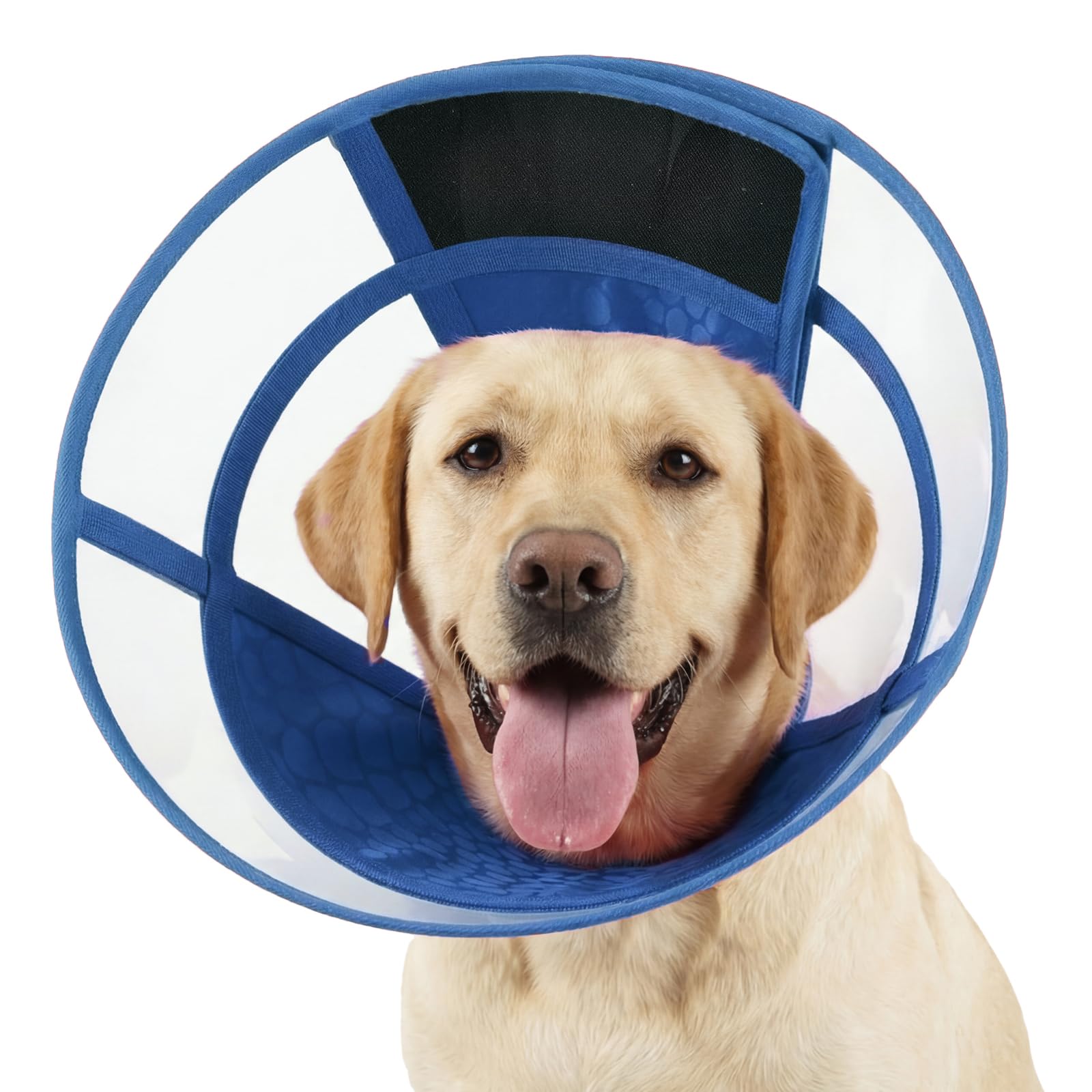 Lelepet Dog Recovery Collar, Elizabethan Collar for Dogs, Blue L