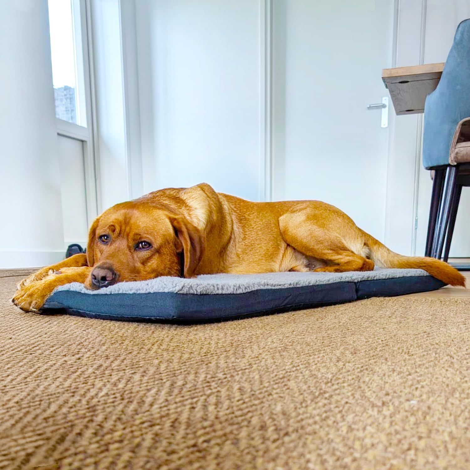 Matelas pliable ergonomique pour chien, anthracite, cuir synthétique et peluche, mousse à mémoire de forme, lavable, pliable avec poignée de transport, dessous antidérapant, 120 x 80 x 5 cm