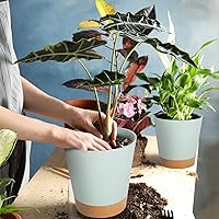 Vista 33 de GARDIFE 10/9/8 inch Plant pots, planters for Indoor Plants, self Watering Plant Pot, Flower pots, Black