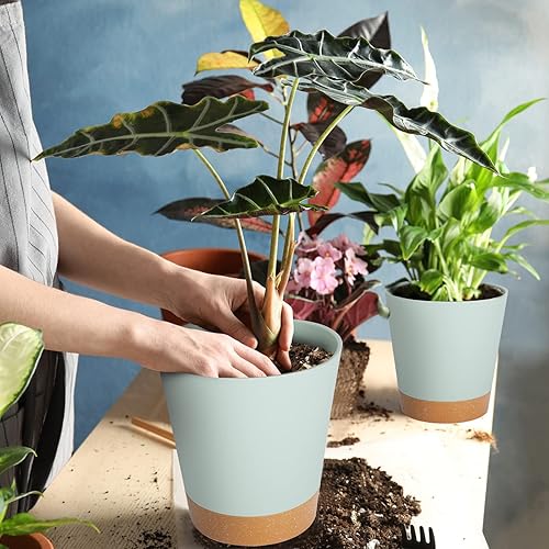 Miniatura 33 de GARDIFE 10/9/8 inch Plant pots, planters for Indoor Plants, self Watering Plant Pot, Flower pots, Black