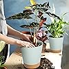 Product Photo 6
