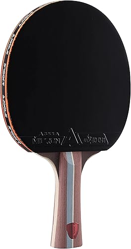 JOOLA Infinity Balance - Pala de ping pong de rendimiento avanzado, lista para competición, raqueta de tenis de mesa para entrenamiento de alto