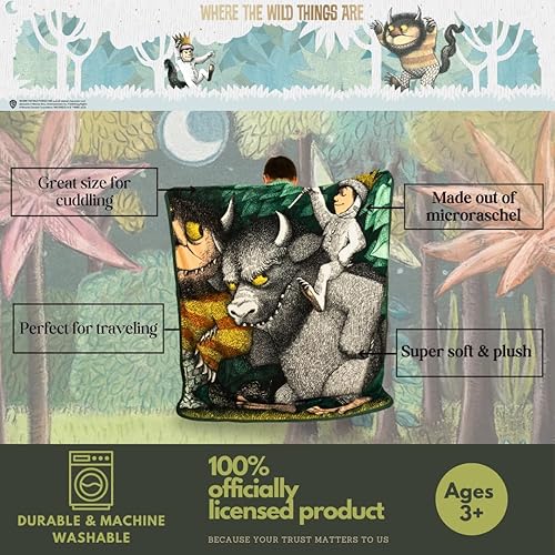 Miniatura 10 de Franco Thomas and Friends - Ropa de cama para niños, manta súper suave de micro raschel, 46 x 60 pulgadas, (producto oficial con licencia)