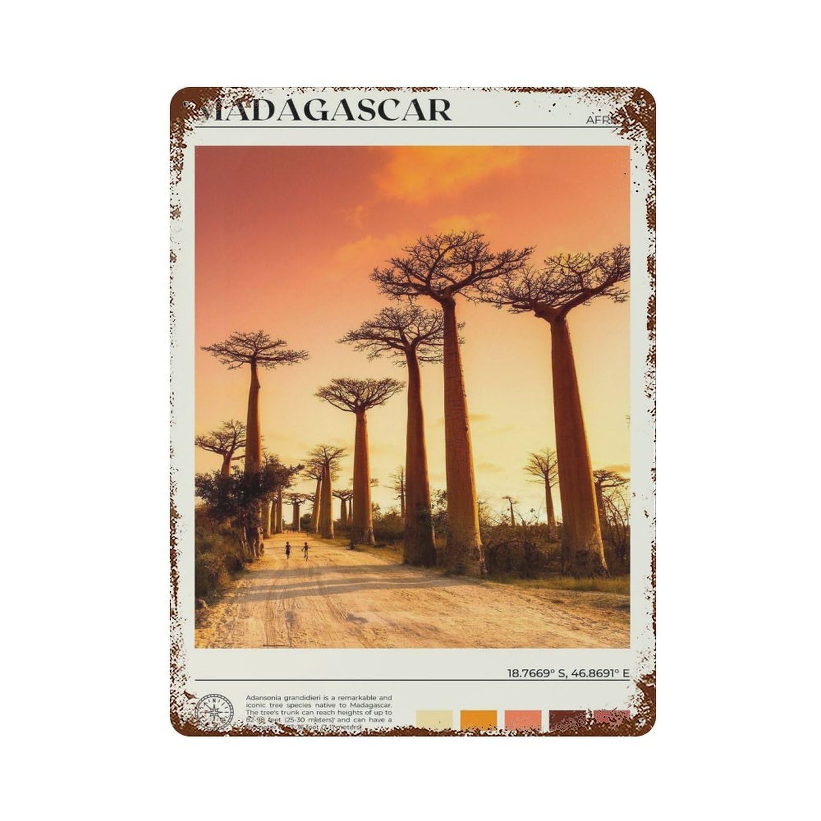xiaoxiaoshen Real Photo Madagascar Decor Wall Decor Art Metal Tin Poster Modern Home Decor Art Home Bar Shop Decorations Vintage Sign 40x30cm