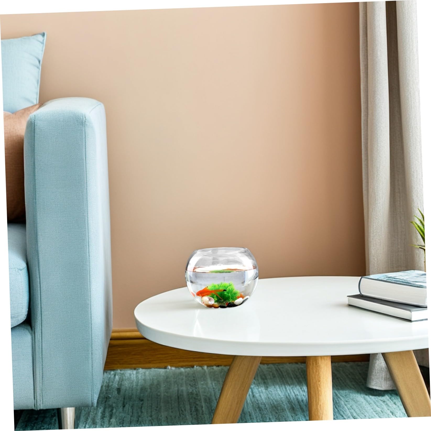 CALLARON Rundes Glas Terrarium 2 Stück für Pflanzen mit Transparentem Design und Reinigender Raumfunktion Kreatives Wohnaccessoire für Zuhause und Wohnzimmer