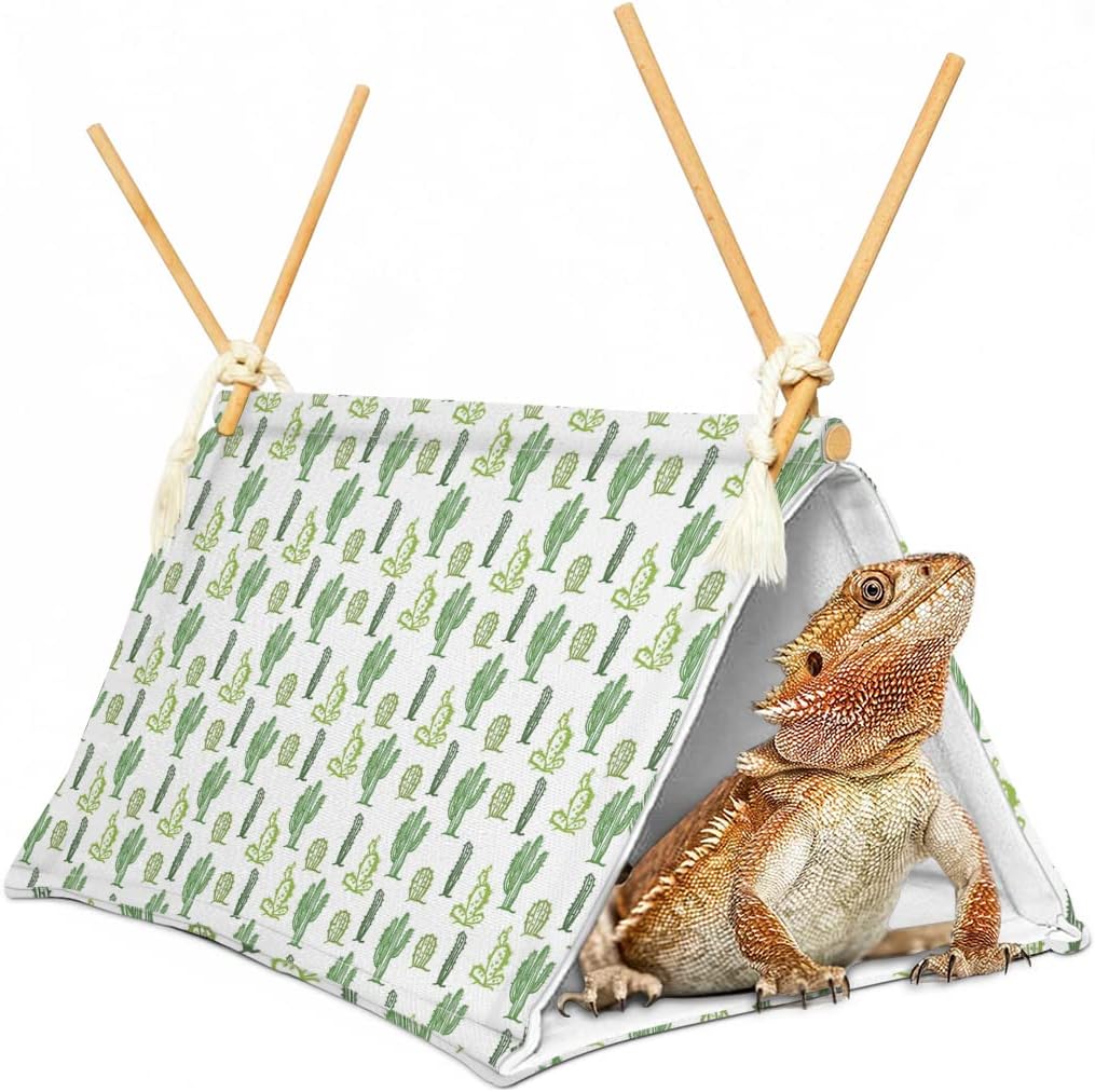 Buy Bearded Dragon Tent Bed,Cactus Pattern Reptile Bearded Dragon cage