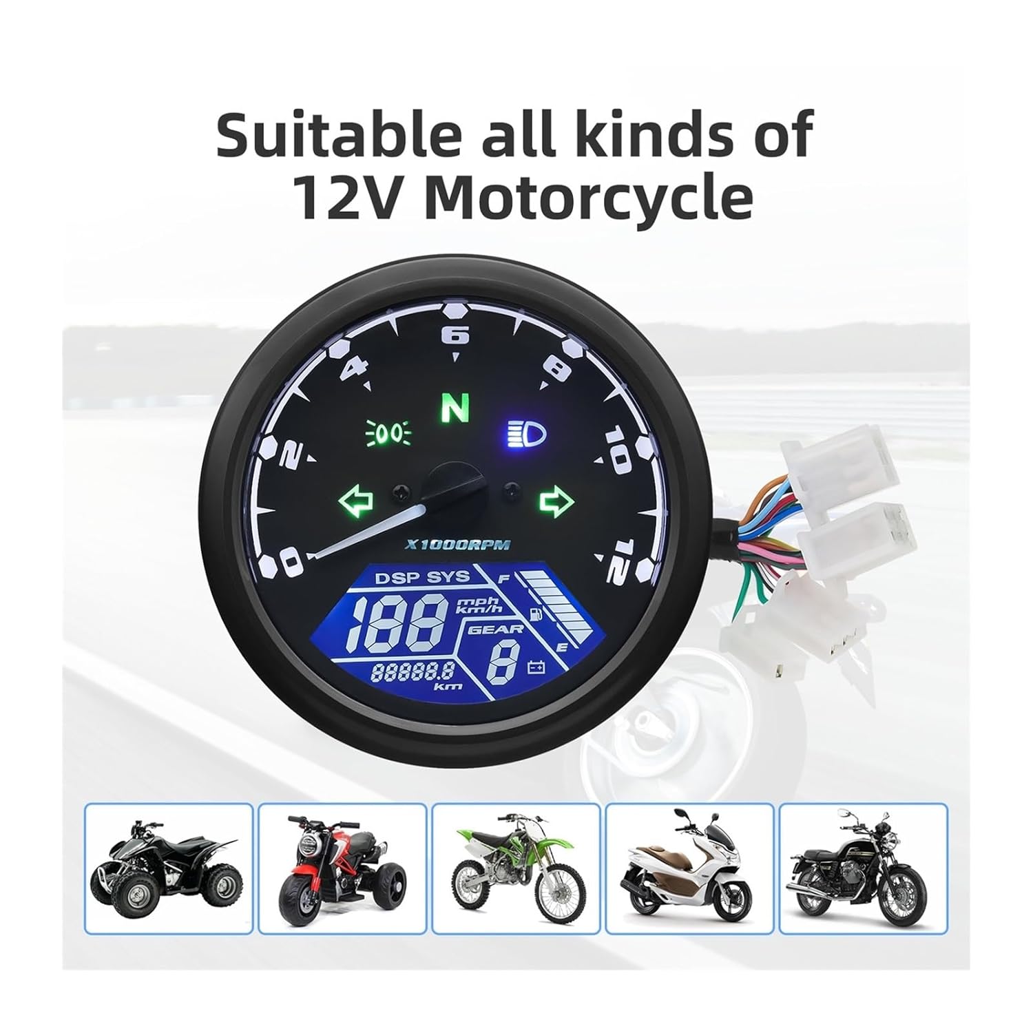 ピーターリック Mid summer dream フロリダ Midsummer Dream - Florida