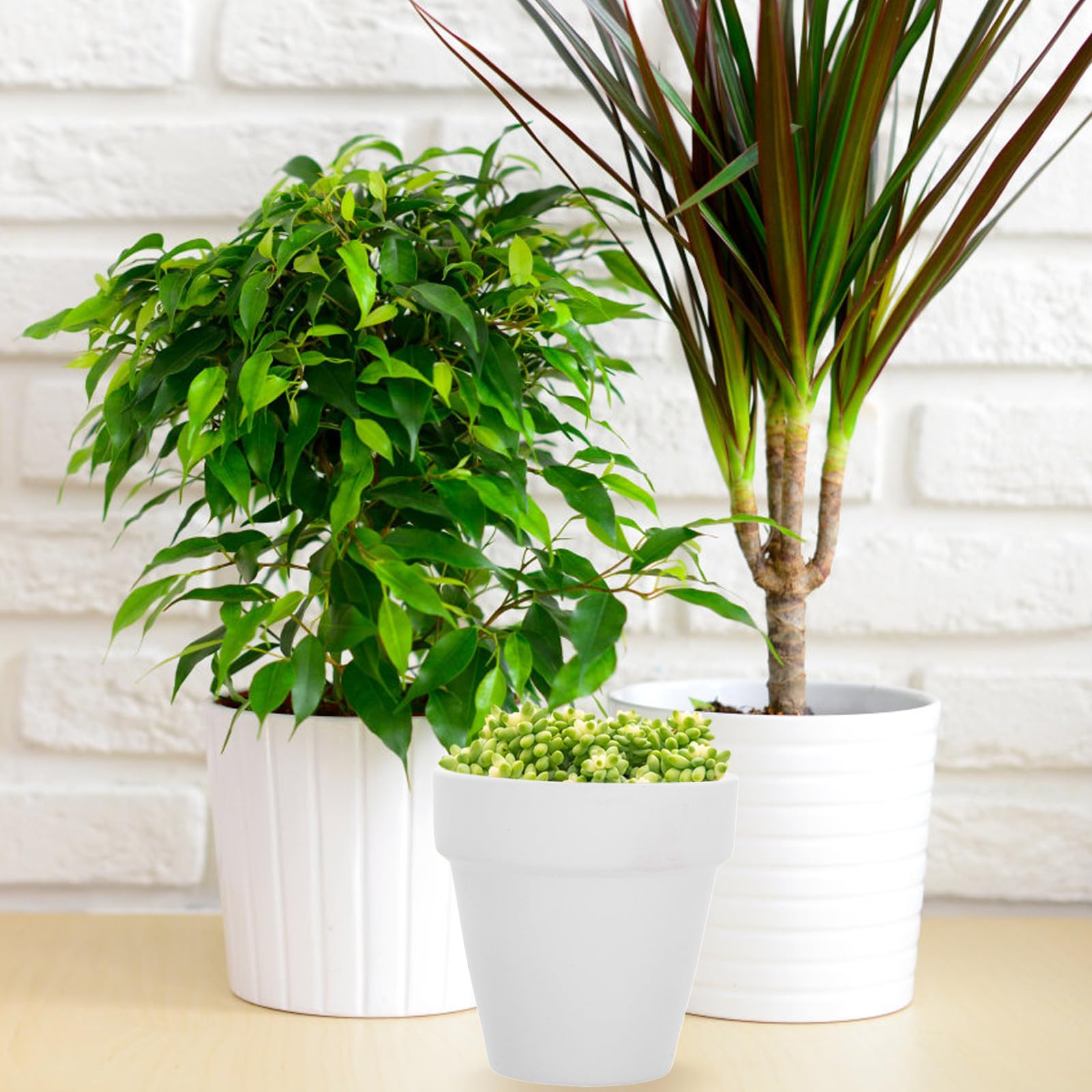 Housoutil 20 Unidades Macetas para Plantas Suculentas Pequeñas de Terracota de Color