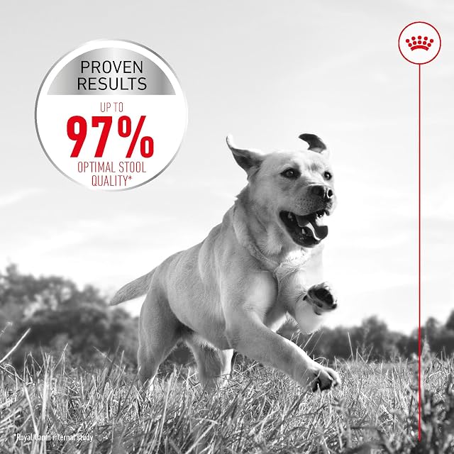 Foto 4 de 8 de Royal Canine Adult Maxi Digestive Care 12KG