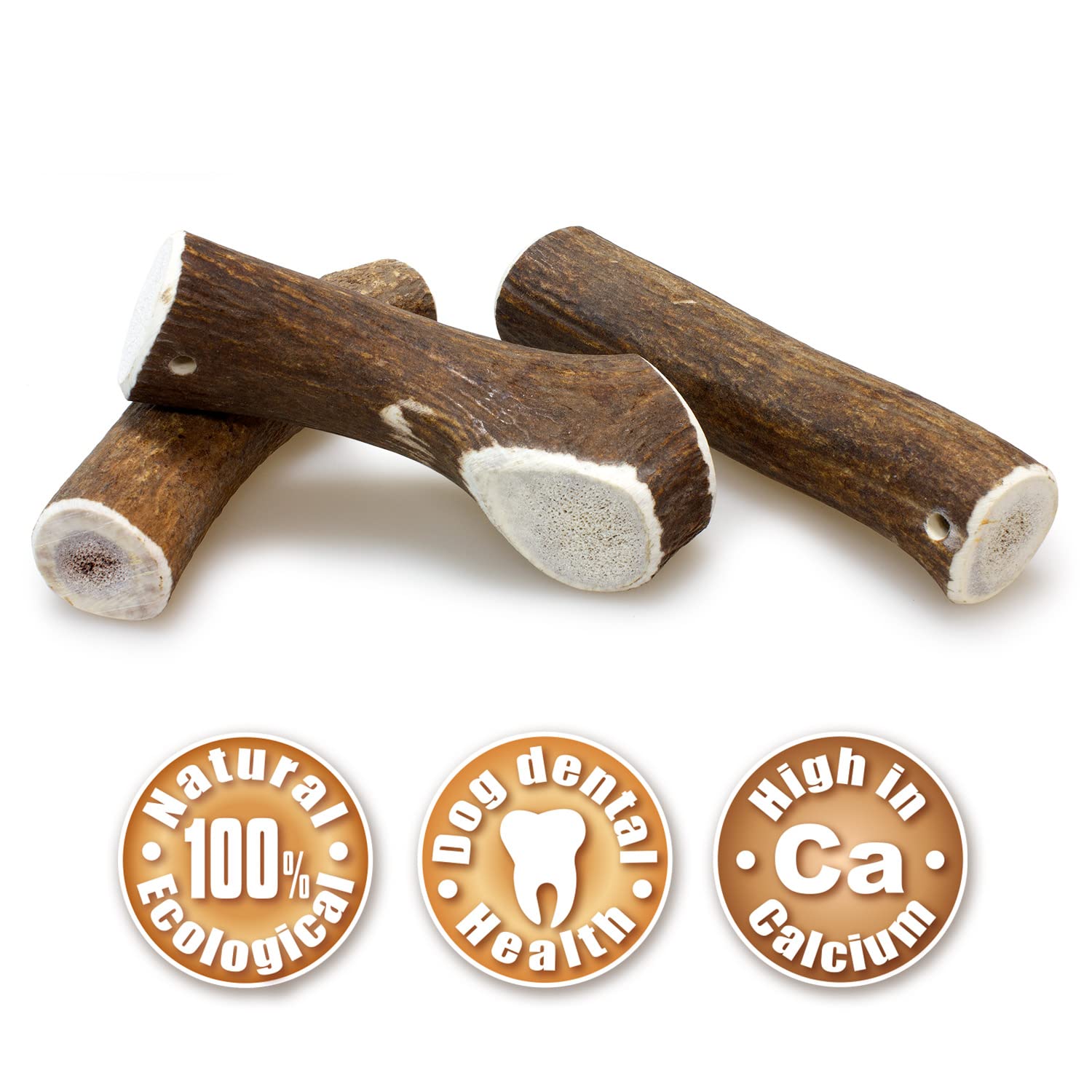 Arquivet Corne de Cerf XL (151 – 225 GR) – 175 GR