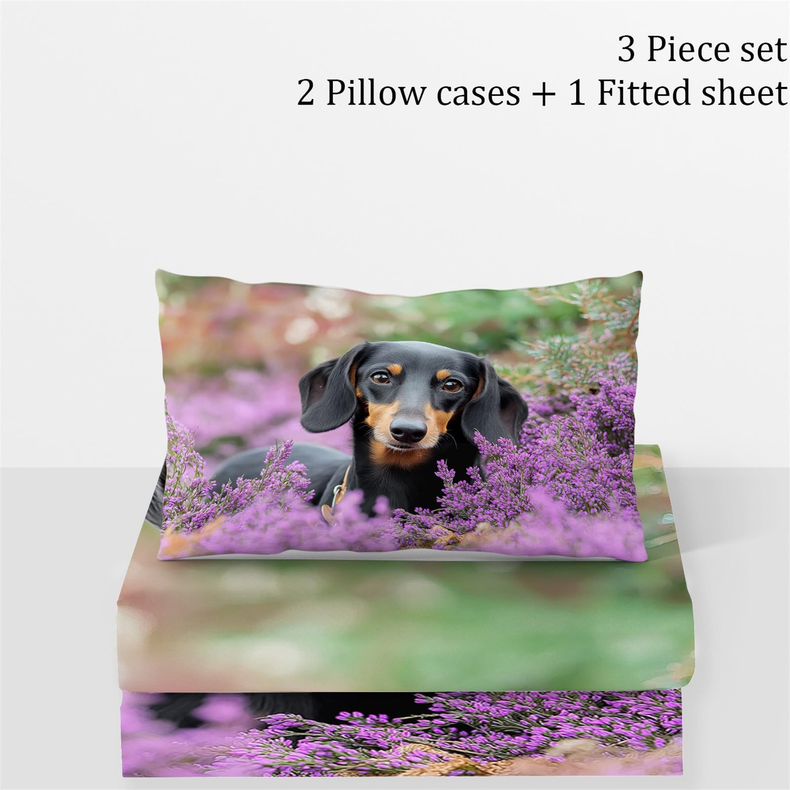 Multicolore Lenzuola Matrimoniali con Angoli 90x190 cm, Fotografia Di Animali Bassotto Morbido e Lavabile in Lavatrice Lenzuolo Sotto con Angoli Elasticizzatoper Altezza Materasso fino 30cm
