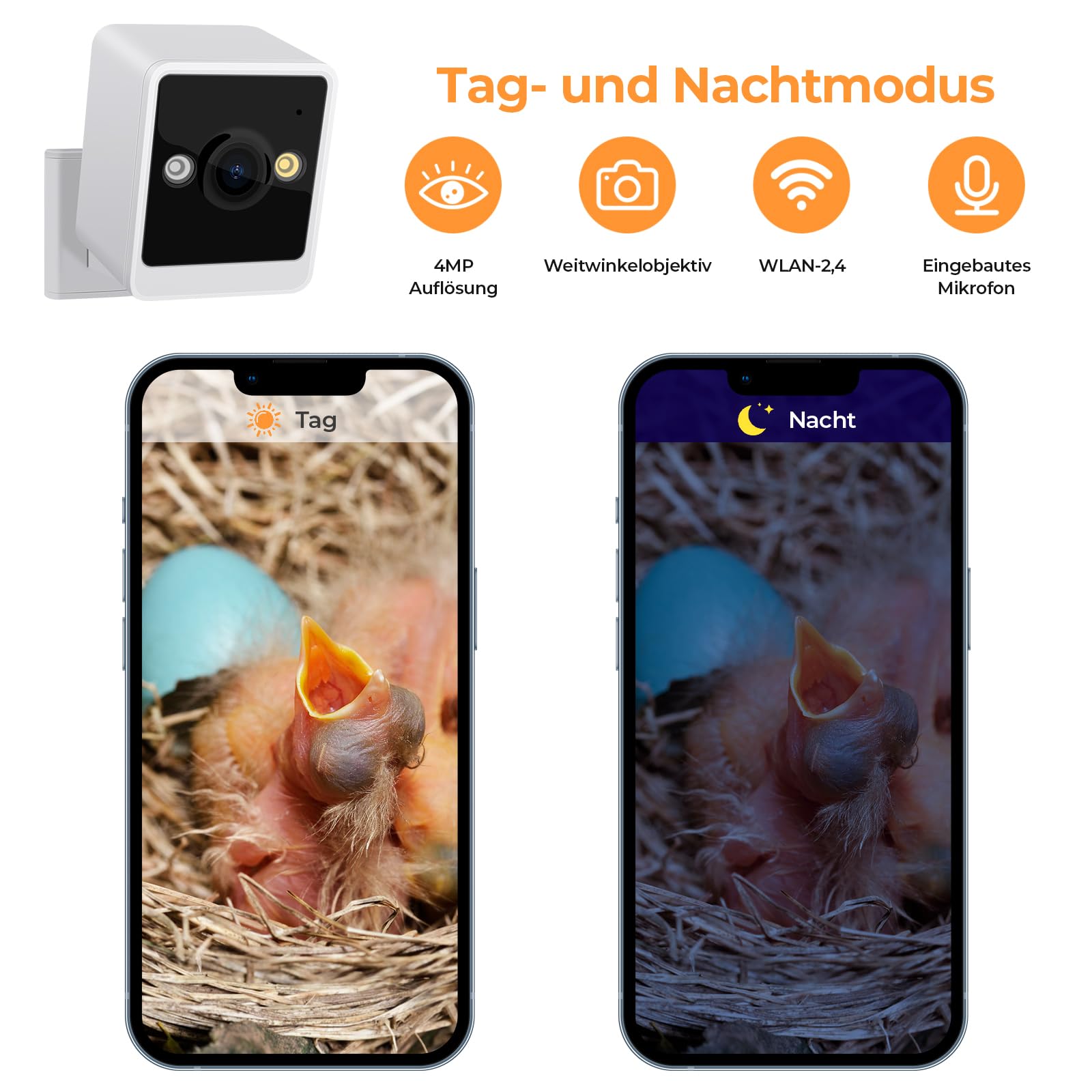 RAINBEAN Bird House with Camera,Nistkasten mit Kamera, 4 Millionen Pixel Outdoor-Vogelhaus-Kamera, Echtzeitbeobachtung des Nestbaus und der Brut von Vögeln, AI-Erkennung des Vogelverhaltens, DIY