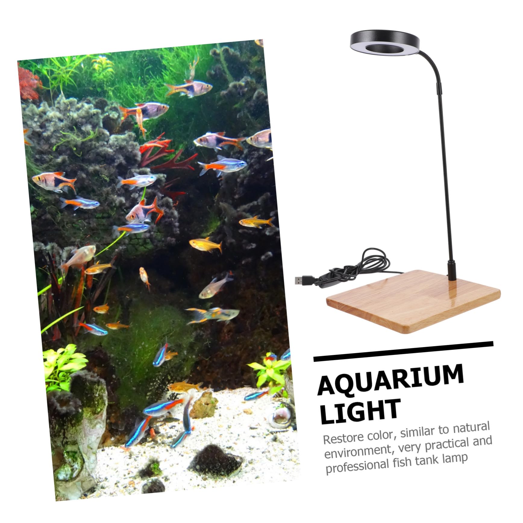 Luz LED para Acuario y Pecera, Iluminación Acuática Interruptor
