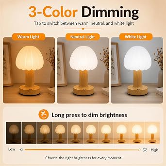 Night Light, Cordless Dimmable Bedside Table Lamp with 3 Color Temperatures [Energy Class E]