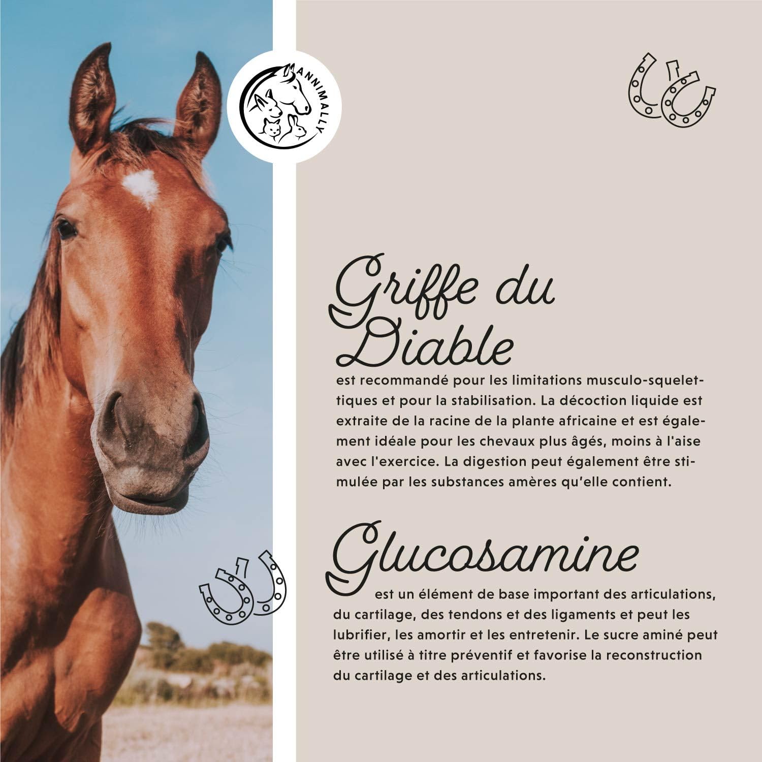 Annimally Liquide pour Articulation Cheval 1000 ML avec Griffe du Diable, Glucosamine et MSM – Renforcement Articulaire
