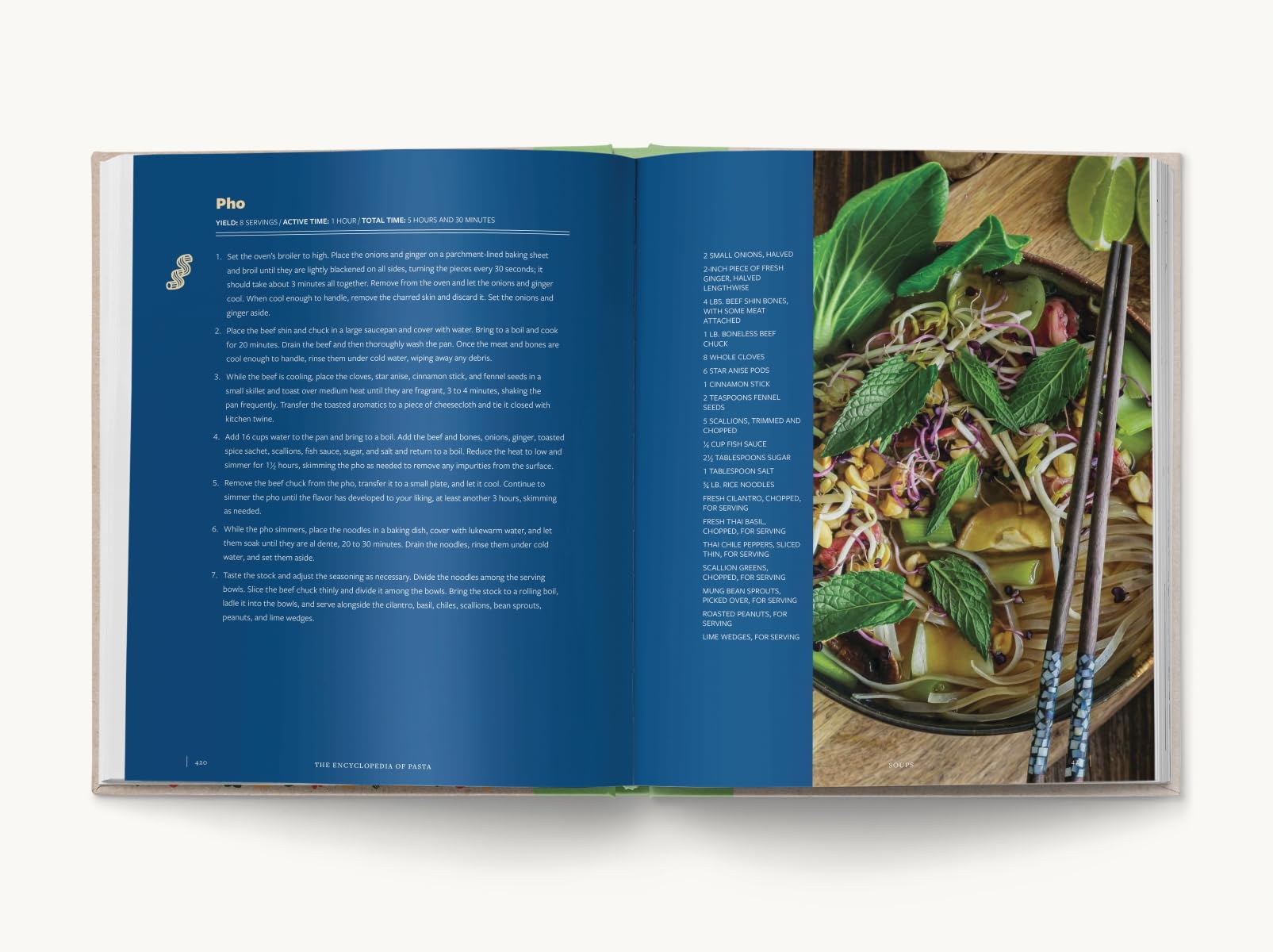 The Encyclopedia of Pasta: Over 350 Recipes for the Ultimate Comfort Food