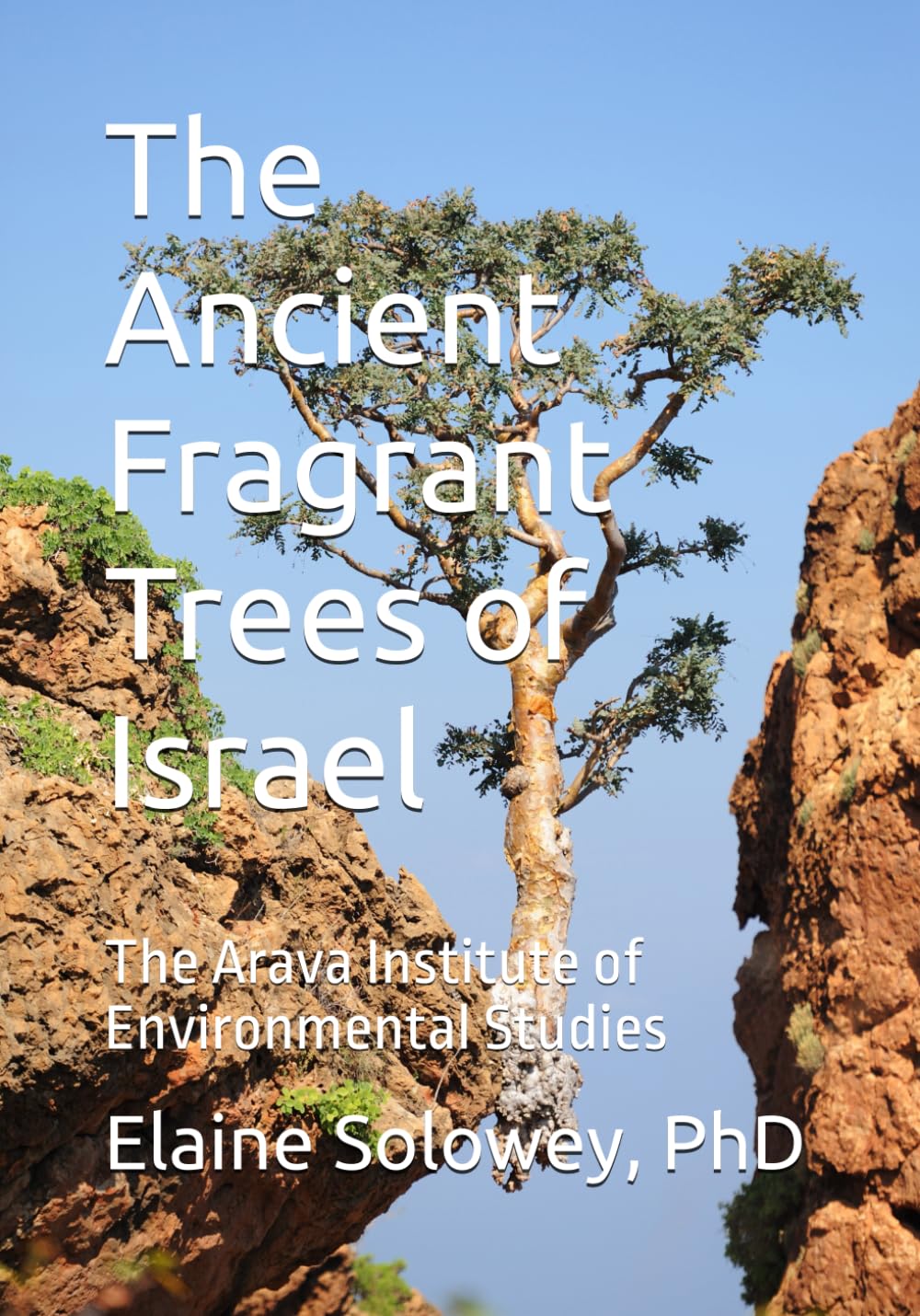 The Ancient Fragrant Trees of Israel: The Arava Institute of Environmental Studies