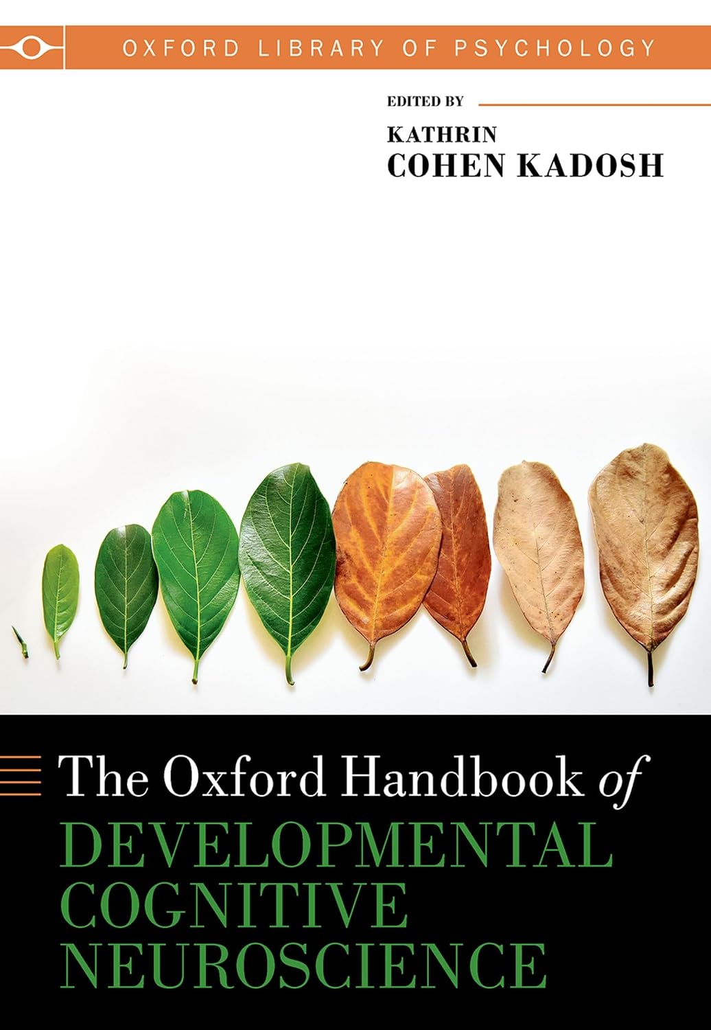 The Oxford Handbook of Developmental Cognitive Neuroscience (Oxford Library of Psychology)
