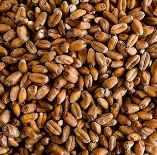 Briess White Wheat Malt Home Brewing Malt Whole Grain 1lb Bag
