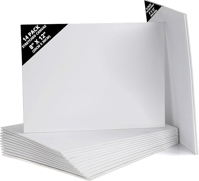 Belle Vous 14 Pack Blank Canvas - 20 x 30cm (8 x 12 inches) - Pre Stretched Canvas Panel Boards - Suitable for Acrylic and Oil Painting Also for Sketching and Drawing